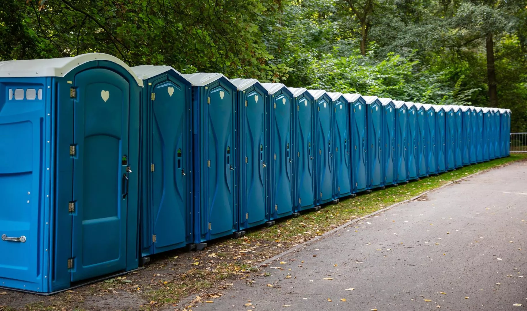 Long Line Of Portable Toilets