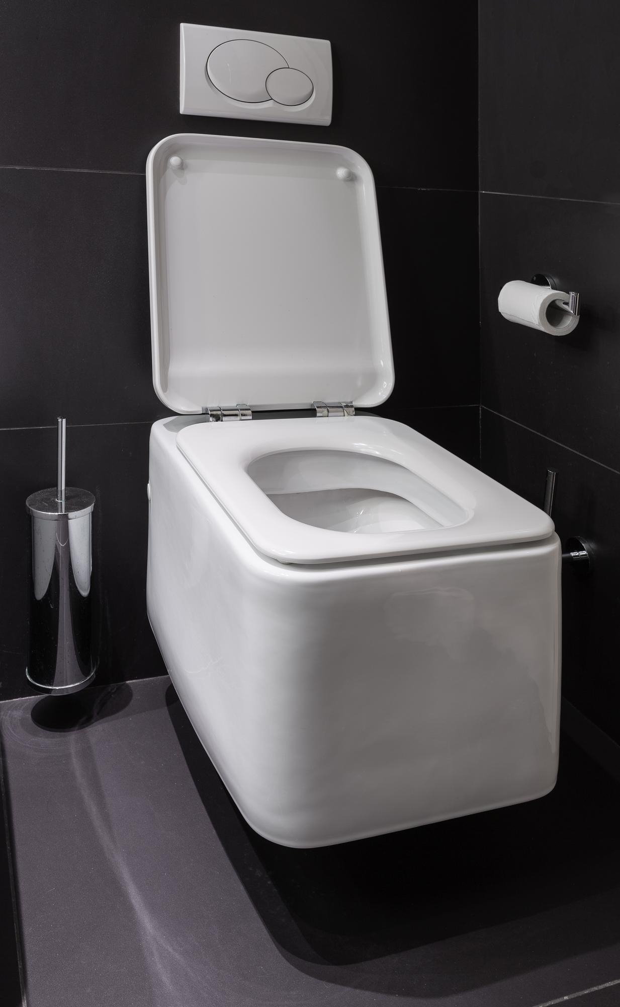 LUXURY PORTABLE TOILETS